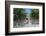 Portugal, Obidos, View of Farm Through Battlement Opening in Courtyard-Lisa S. Engelbrecht-Framed Photographic Print