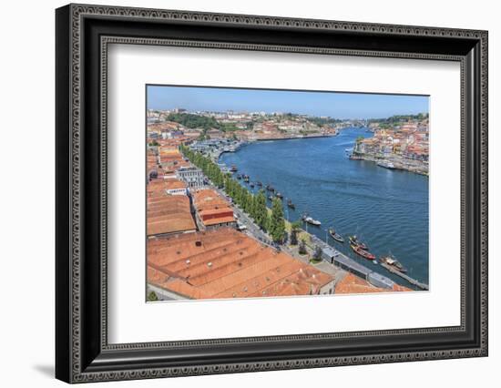 Portugal, Oporto, Douro River, Overlook of the City of Gaia-Lisa S. Engelbrecht-Framed Photographic Print