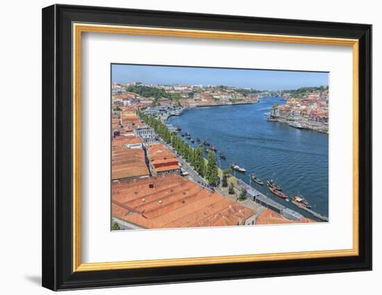 Portugal, Oporto, Douro River, Overlook of the City of Gaia-Lisa S. Engelbrecht-Framed Photographic Print