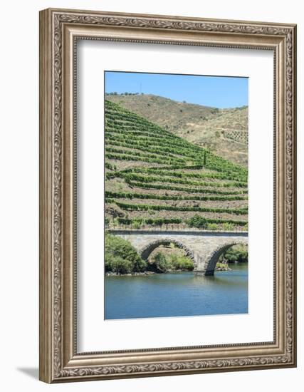 Portugal, Peredos Dos, Bridge and Vineyards Along Douro River-Jim Engelbrecht-Framed Photographic Print