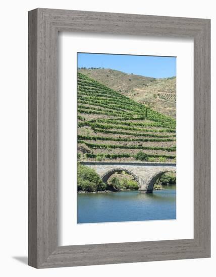 Portugal, Peredos Dos, Bridge and Vineyards Along Douro River-Jim Engelbrecht-Framed Photographic Print