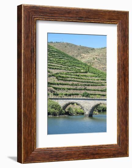 Portugal, Peredos Dos, Bridge and Vineyards Along Douro River-Jim Engelbrecht-Framed Photographic Print