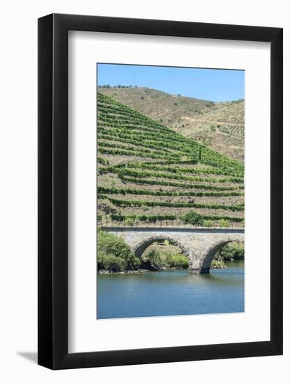 Portugal, Peredos Dos, Bridge and Vineyards Along Douro River-Jim Engelbrecht-Framed Photographic Print