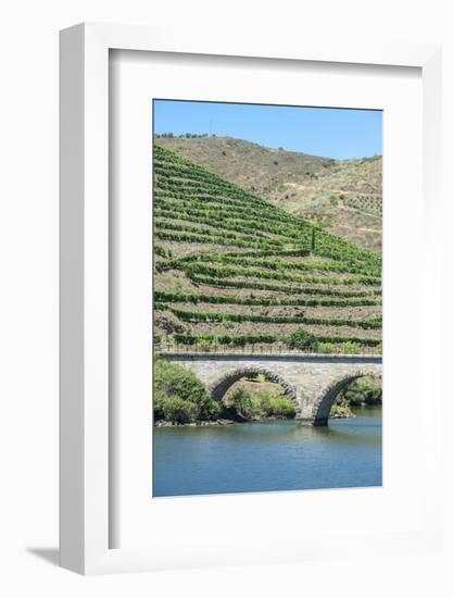 Portugal, Peredos Dos, Bridge and Vineyards Along Douro River-Jim Engelbrecht-Framed Photographic Print