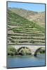 Portugal, Peredos Dos, Bridge and Vineyards Along Douro River-Jim Engelbrecht-Mounted Photographic Print