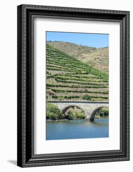 Portugal, Peredos Dos, Bridge and Vineyards Along Douro River-Jim Engelbrecht-Framed Photographic Print