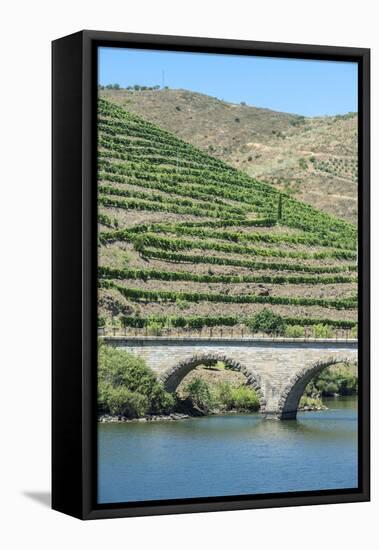 Portugal, Peredos Dos, Bridge and Vineyards Along Douro River-Jim Engelbrecht-Framed Premier Image Canvas