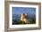 Portugal, Sintra. Overview of Pena Palace-Jaynes Gallery-Framed Photographic Print