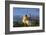 Portugal, Sintra. Overview of Pena Palace-Jaynes Gallery-Framed Photographic Print