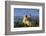 Portugal, Sintra. Overview of Pena Palace-Jaynes Gallery-Framed Photographic Print