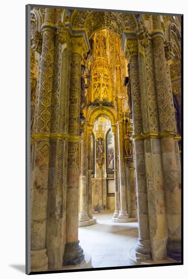 Portugal, Tomar. Tomar Castle, Knights of the Templar Fortress, Castle and Convent-Emily Wilson-Mounted Photographic Print