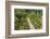 Portugal, Vila Real, Palace of Mateus, Formal Garden-Jim Engelbrecht-Framed Photographic Print