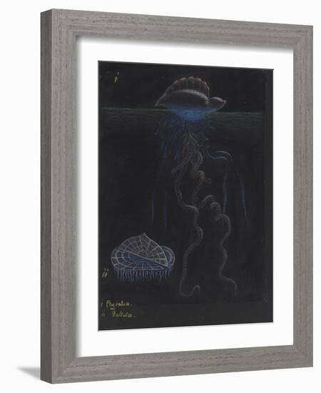 Portugese-Man-Of-War: By-The-Wind-Sailor: Jellyfish-Philip Henry Gosse-Framed Giclee Print