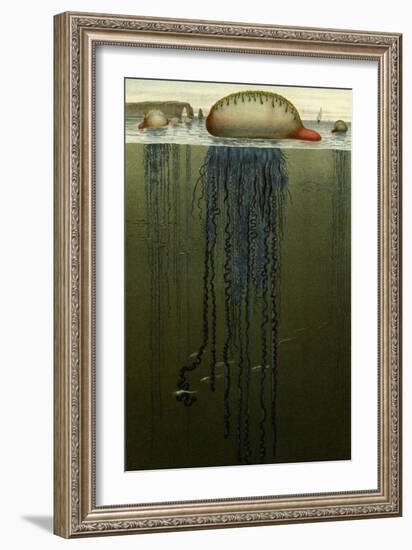 Portuguese Man O' War-F.W. Kuhnert-Framed Art Print