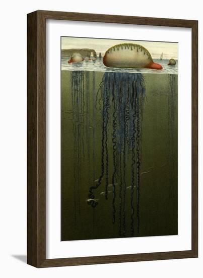 Portuguese Man O' War-F.W. Kuhnert-Framed Art Print