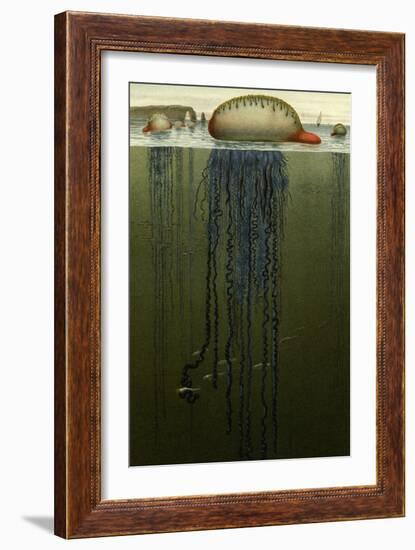 Portuguese Man O' War-F.W. Kuhnert-Framed Art Print