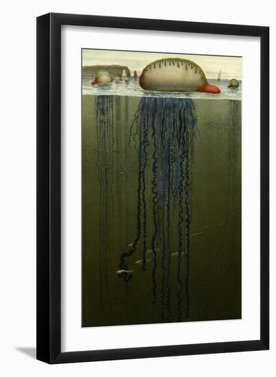 Portuguese Man O' War-F.W. Kuhnert-Framed Art Print