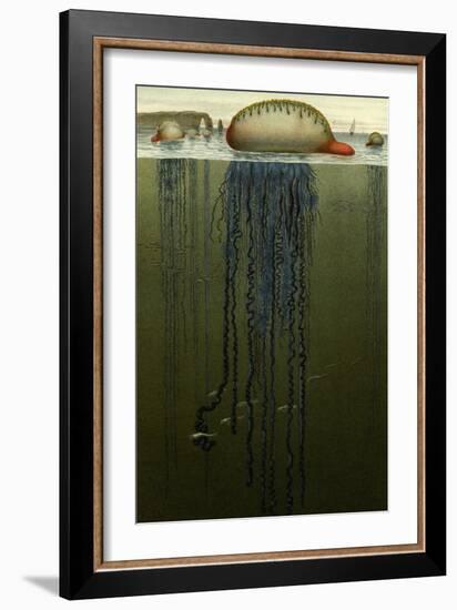 Portuguese Man O' War-F.W. Kuhnert-Framed Art Print