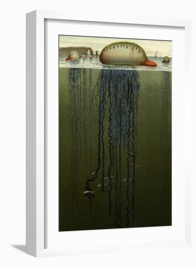 Portuguese Man O' War-F.W. Kuhnert-Framed Art Print