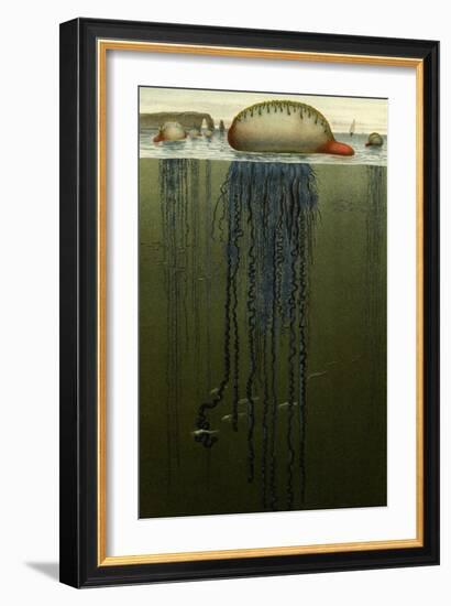 Portuguese Man O' War-F.W. Kuhnert-Framed Art Print