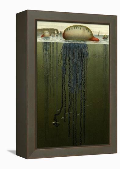 Portuguese Man O' War-F.W. Kuhnert-Framed Stretched Canvas