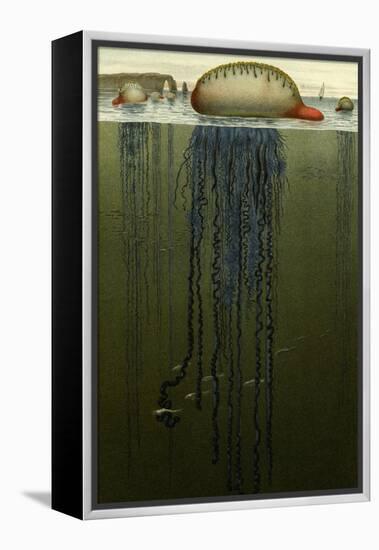 Portuguese Man O' War-F.W. Kuhnert-Framed Stretched Canvas