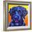 Portuguese Water Dog - Banks-Dawgart-Framed Giclee Print