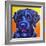 Portuguese Water Dog - Banks-Dawgart-Framed Giclee Print