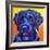 Portuguese Water Dog - Banks-Dawgart-Framed Giclee Print
