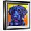 Portuguese Water Dog - Banks-Dawgart-Framed Giclee Print