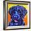 Portuguese Water Dog - Banks-Dawgart-Framed Giclee Print