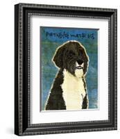 Portuguese Water Dog-John Golden-Framed Giclee Print