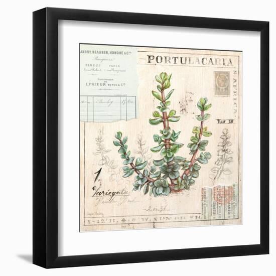 Portulacaria…Sketchbook-Angela Staehling-Framed Art Print