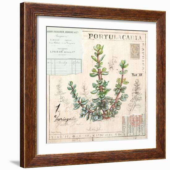 Portulacaria…Sketchbook-Angela Staehling-Framed Art Print