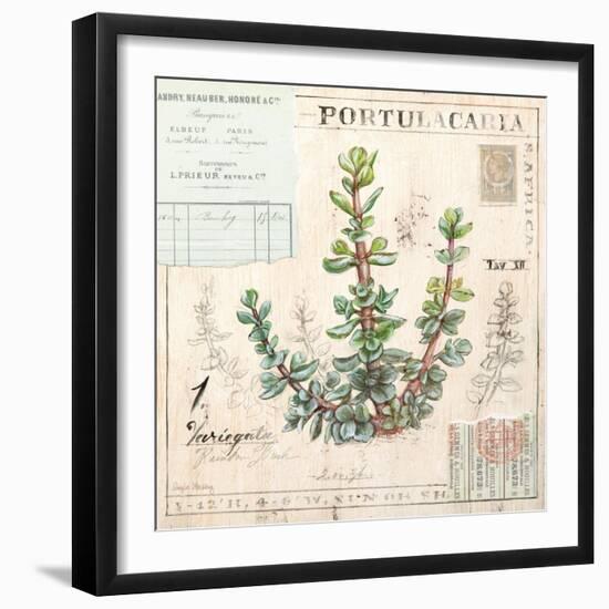 Portulacaria…Sketchbook-Angela Staehling-Framed Art Print