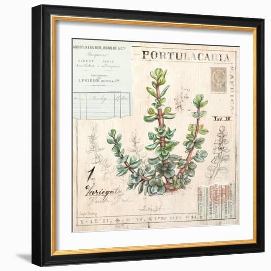 Portulacaria…Sketchbook-Angela Staehling-Framed Art Print