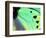 Poseidon (Green Butterfly), Papua New Guinea-Gavriel Jecan-Framed Photographic Print