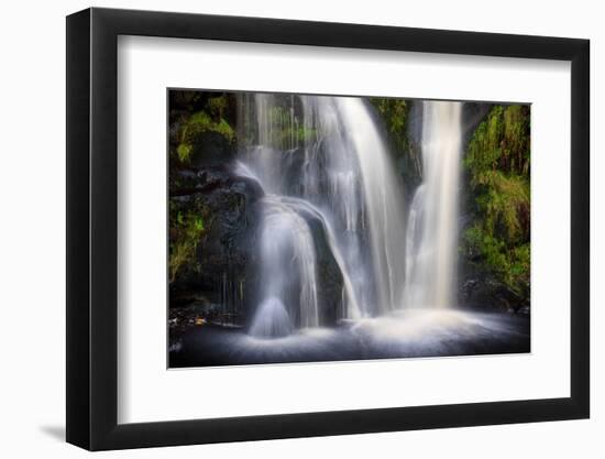 Posforth Gill Waterfall, Bolton Abbey, Yorkshire Dales, Yorkshire, England, United Kingdom, Europe-Bill Ward-Framed Photographic Print