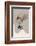 Posh-Alexander Adiels-Framed Photographic Print