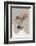 Posh-Alexander Adiels-Framed Photographic Print