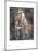 Posies-Thomas Cantrell Dugdale-Mounted Art Print