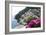 Positano-Chris Bliss-Framed Photographic Print