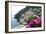 Positano-Chris Bliss-Framed Photographic Print