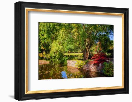 Positive Vibes-Philippe Sainte-Laudy-Framed Photographic Print