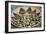 Posole - Pueblo Indian Dried Corn - in a Native American Basket-null-Framed Giclee Print