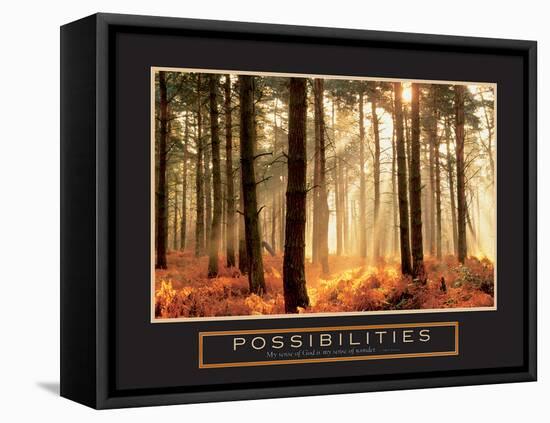 Possibilities - Forest Sunbeams-unknown unknown-Framed Stretched Canvas