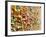 Post Alley Chewing Gum Details-searagen-Framed Photographic Print