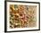 Post Alley Chewing Gum Details-searagen-Framed Photographic Print