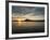 Post Office Bay, Isla Santa Maria (Floreana Island), Galapagos Islands, Ecuador-Michael DeFreitas-Framed Photographic Print