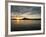 Post Office Bay, Isla Santa Maria (Floreana Island), Galapagos Islands, Ecuador-Michael DeFreitas-Framed Photographic Print